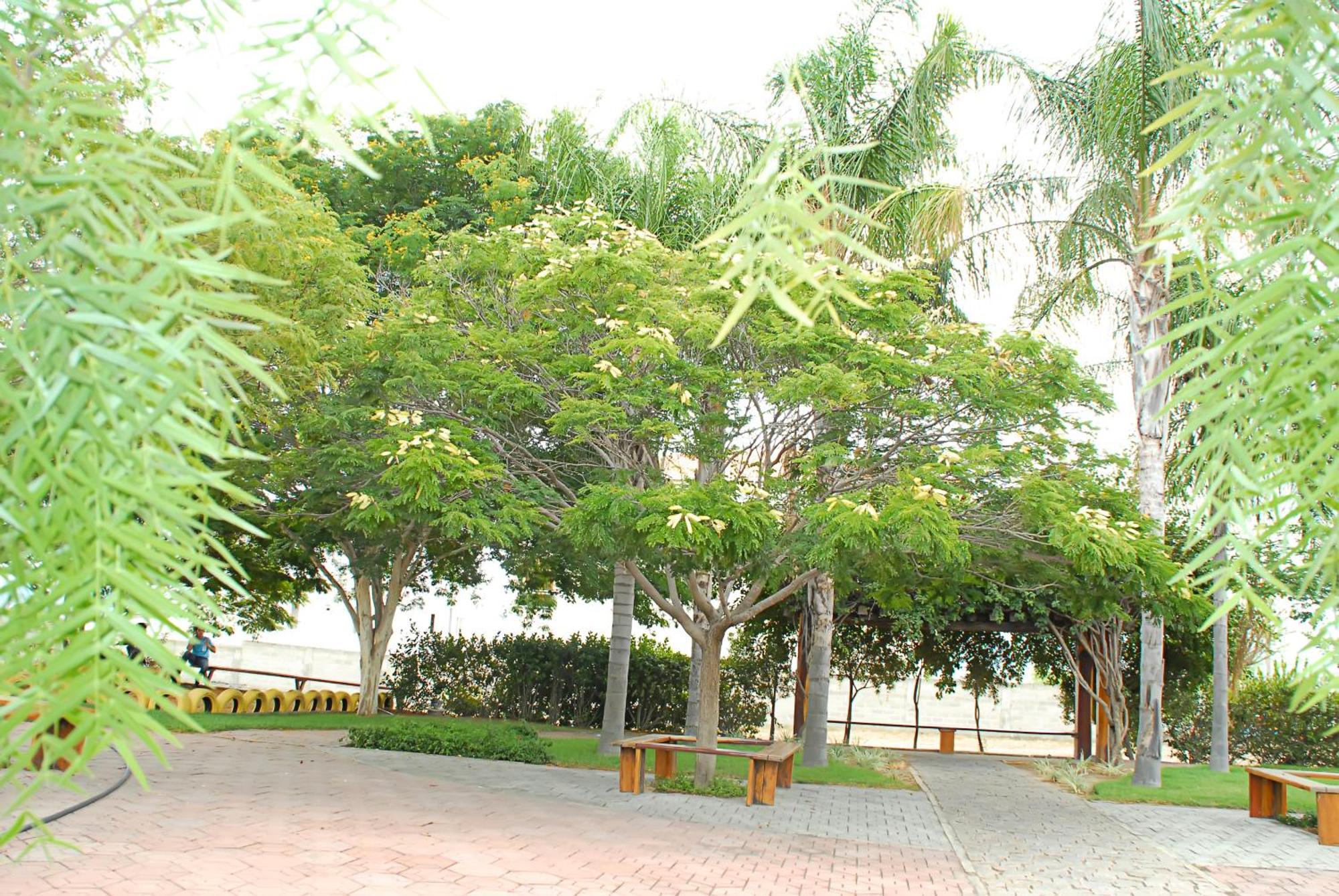 Hotel Flor Da Chapada Itaberaba Exterior photo